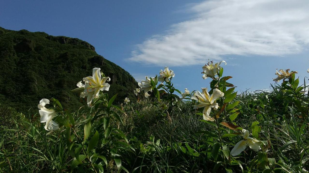 Hotel 築100年の宿【はぶの家】 Oshima Zewnętrze zdjęcie